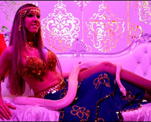 Soirée Thème orientale Nantes et Vendée